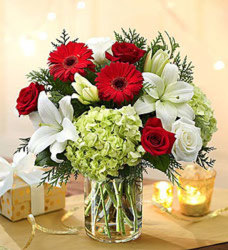 Christmas Flowers